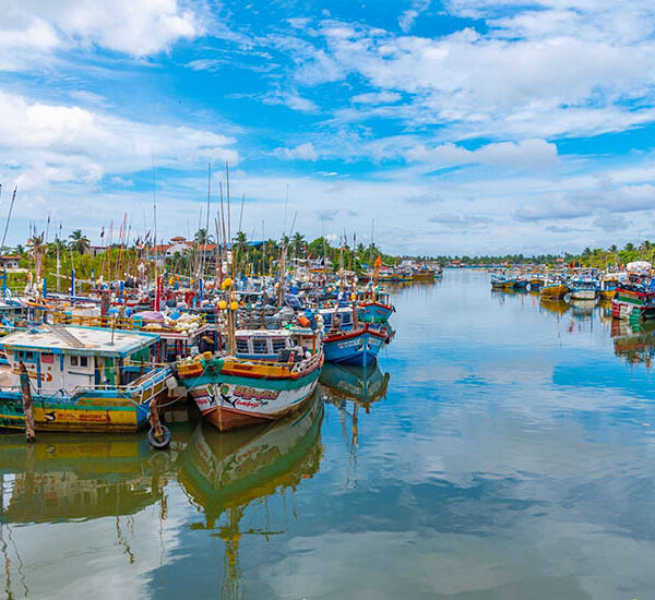 Negombo-800×550-2